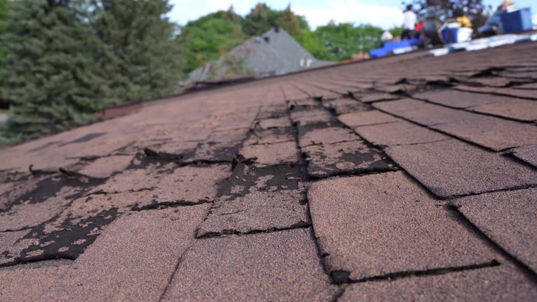 Roof Moss and Algae Removal in Bennington, NE